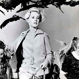 Photo Tippi Hedren