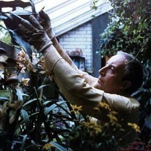 Photo Bienvenue Mister Chance