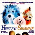 Photo Hercule et Sherlock