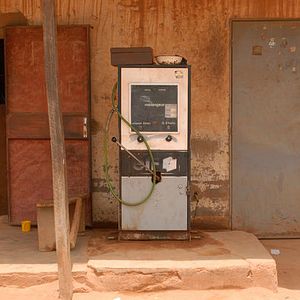 Photo Les Prédateurs