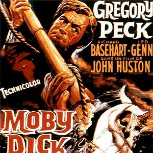 Photo Moby Dick