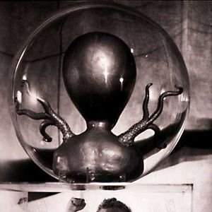 Photo William Cameron Menzies