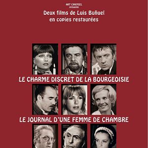 Photo Le Journal d'une femme de chambre