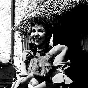 Photo Jennifer Jones