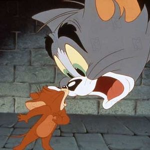 Photo Tom et Jerry