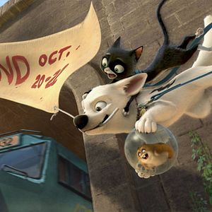 Photo Chris Williams