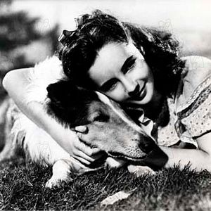 Photo Fred M. Wilcox