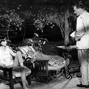 Photo Elsa Martinelli