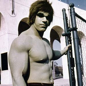 Photo L'Incroyable Hulk