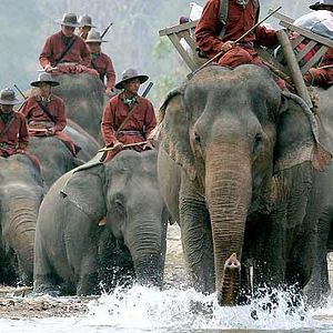 Photo Olivier Horlait