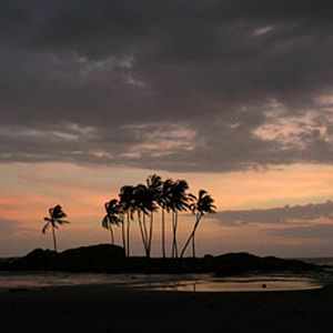 Photo Alison Thompson