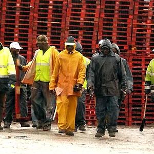 Photo Dernier maquis