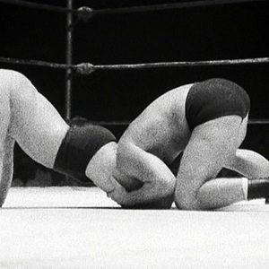 Photo L'Oeil sauvage