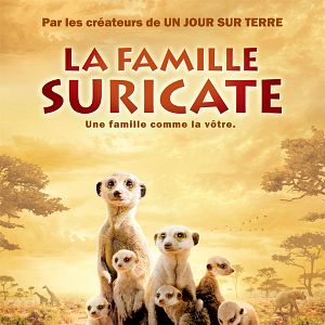 Photo La Famille Suricate