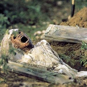 Photo Wes Craven