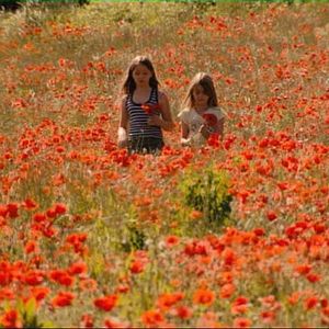 Photo Nos enfants nous accuseront