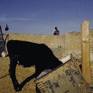 Photo Puisque nous sommes nés