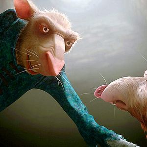 Photo Robert Stevenhagen