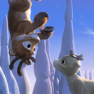 Photo Niko, le petit renne