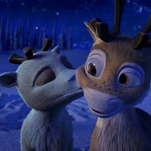 Photo Niko, le petit renne