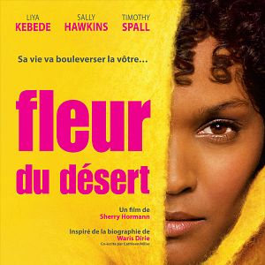 Photo Fleur du désert