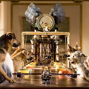 Photo Palace pour chiens