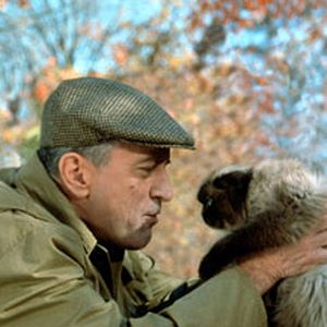 Photo Robert De Niro