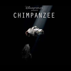 Photo Alastair Fothergill