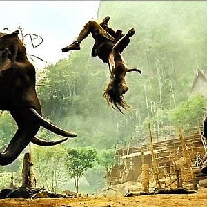 OngBak 2, la naissance du dragon Photos et affiches AlloCiné