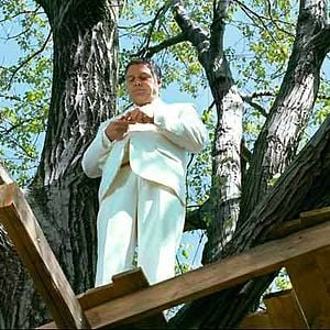 Photo Little New York