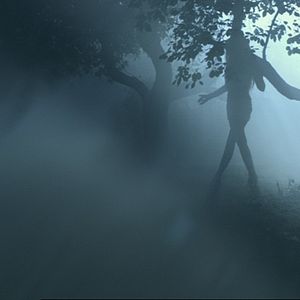 Photo Bruno Aveillan