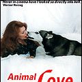 Photo Animal Love