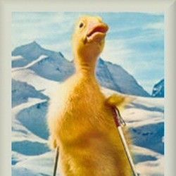 Photo Les Aventures de Saturnin