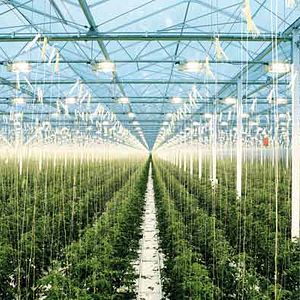 Photo Pierre Barougier