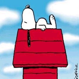 Photo The Charlie Brown and Snoopy Show