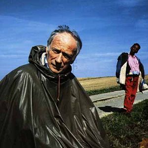 Photo IP5: L'île aux pachydermes