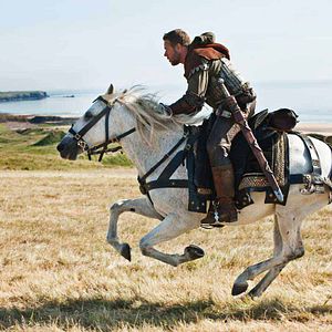 Photo Robin des Bois