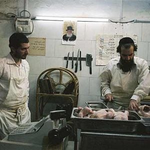 Photo Tu n'aimeras point