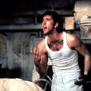 Photo Eclair de lune