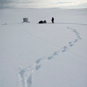 Photo The Last Winter