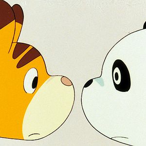 Photo Panda Petit Panda