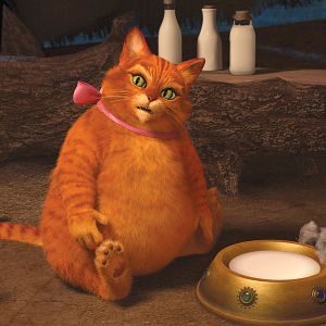 Photo Mike Mitchell (V)