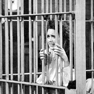 Photo Julia Campbell