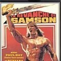 Photo La Revanche de Samson