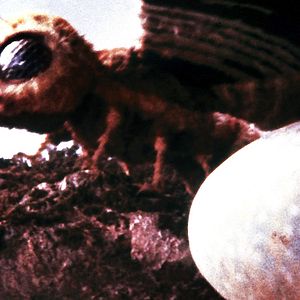 Photo Mothra contre Godzilla