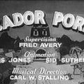Photo Picador Porky