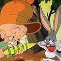 Photo The Old Grey Hare