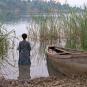 Photo Philippe Van Leeuw