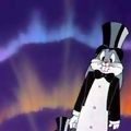 Photo Frigid Hare