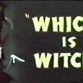 Photo Which Is Witch?